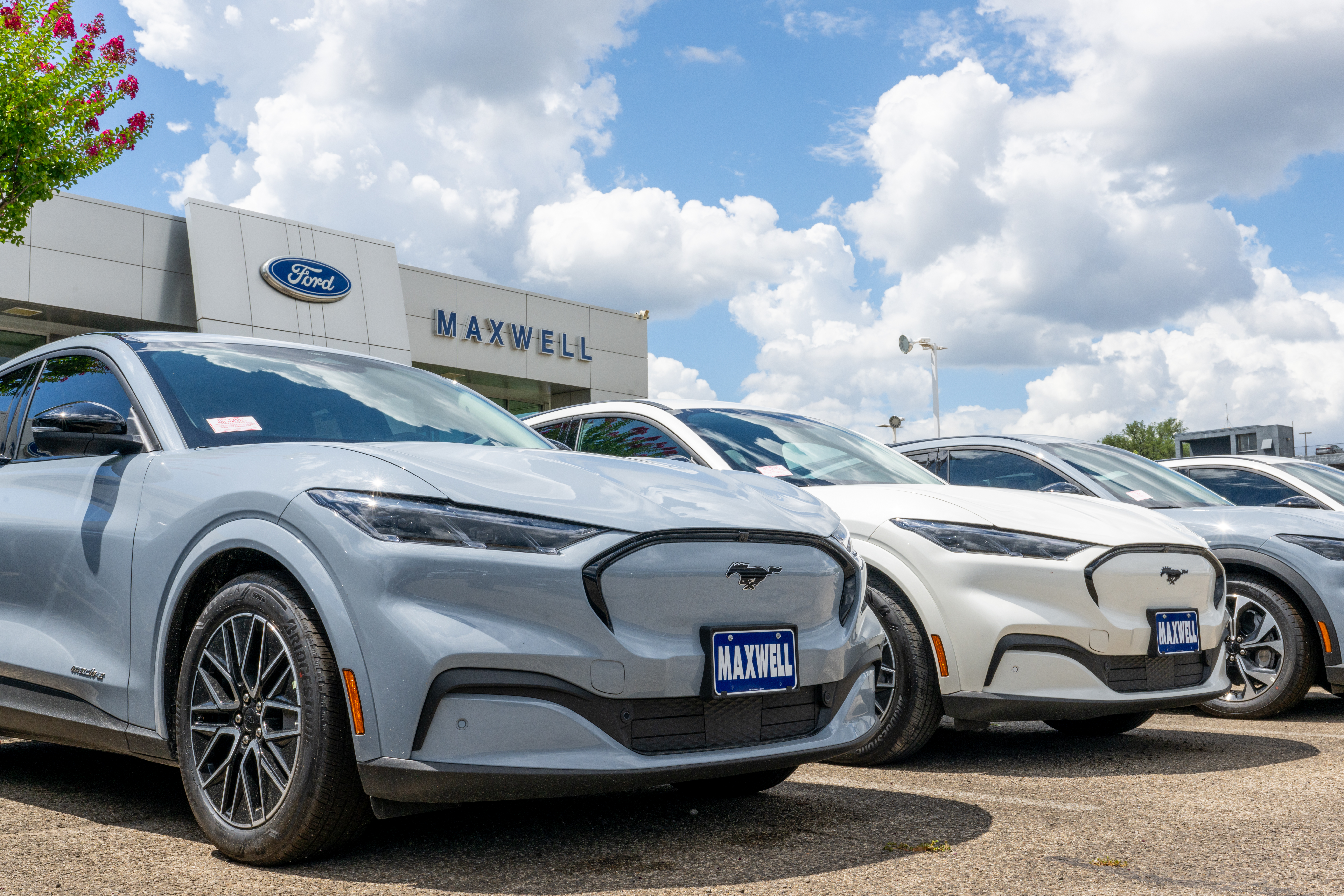Ford Mustang Mach-E vehicles are seen for sale on a dealership lot on June 24, 2025 in Austin, Texas.