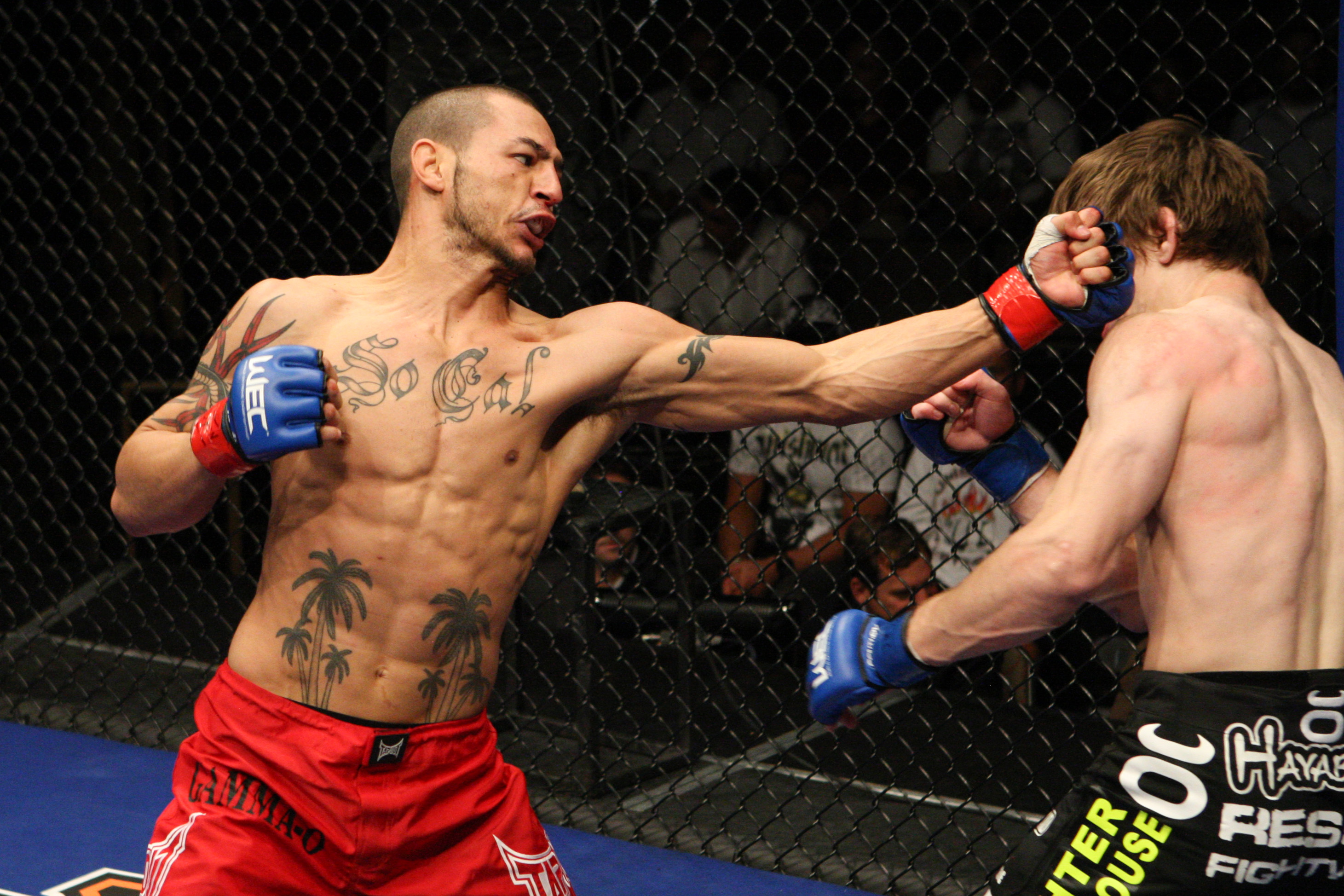 LAS VEGAS, NV - NOVEMBER 18:  (L-R) Cub Swanson punches John Franchi in their fight at WEC 44 at the Pearl Concert Theater on November 18, 2009 in Las Vegas, Nevada. (Photo by Josh Hedges/Zuffa LLC)