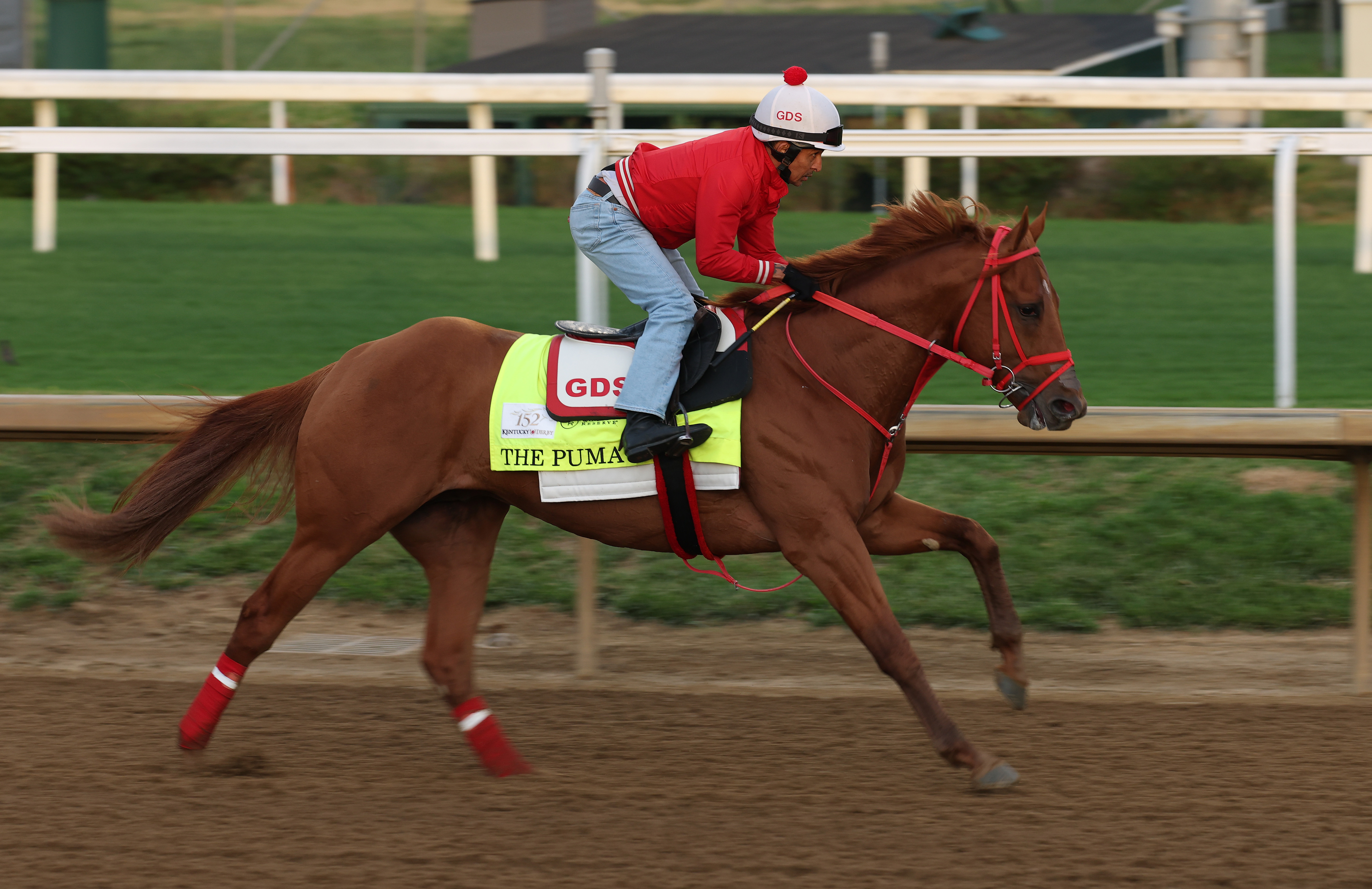 LOUISVILLE, KENTUCKY - APRIL 27: The Puma runs on the track during the morning training for the 152nd Kentucky Derby at Churchill Downs on April 27, 2026 in Louisville, Kentucky. (Photo by Andy Lyons/Getty Images)