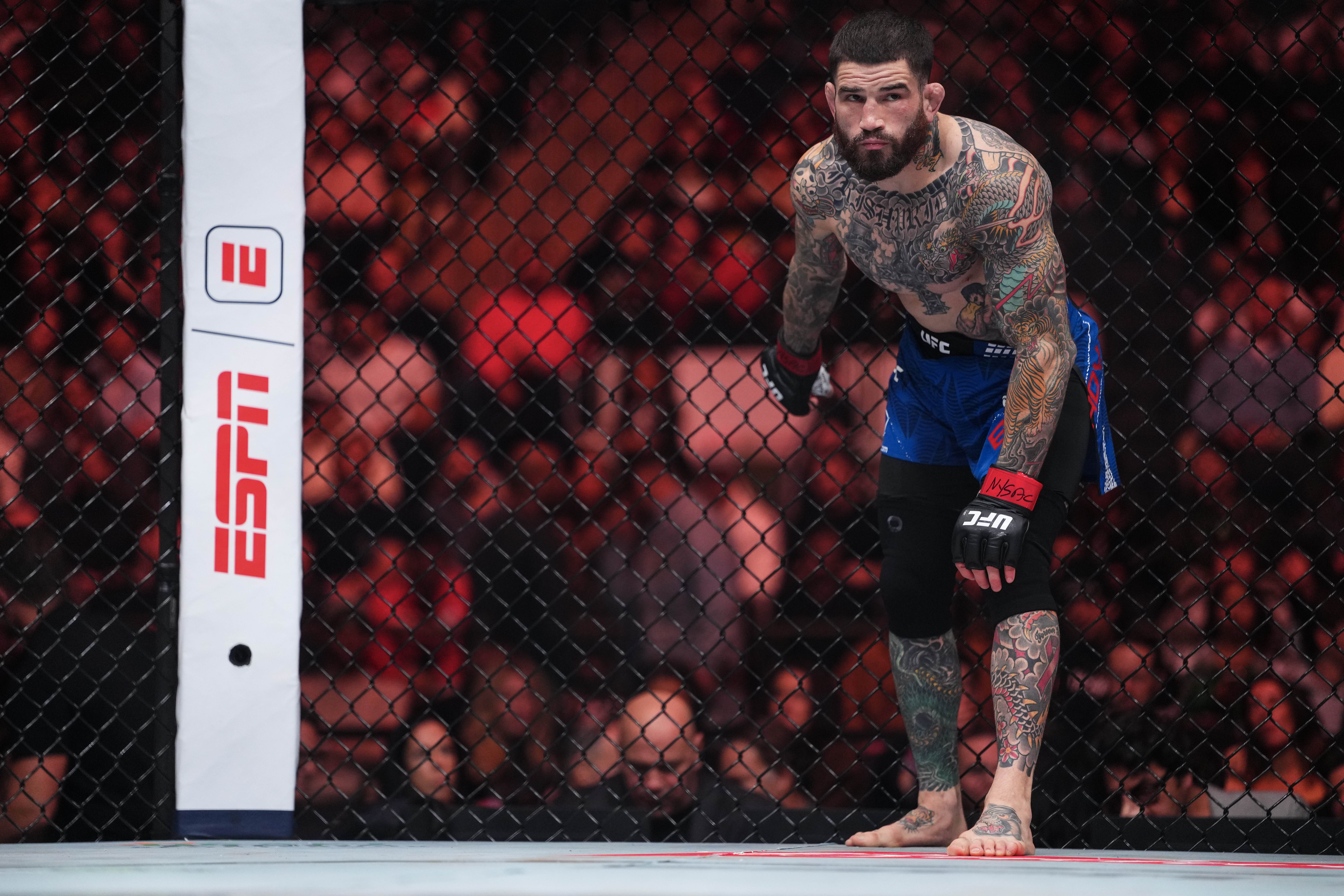 NEW YORK, NEW YORK - NOVEMBER 15: Sean Brady enters the Octagon in a welterweight fight during the UFC 322 event at Madison Square Garden on November 15, 2025 in New York City. (Photo by Cooper Neill/Zuffa LLC)