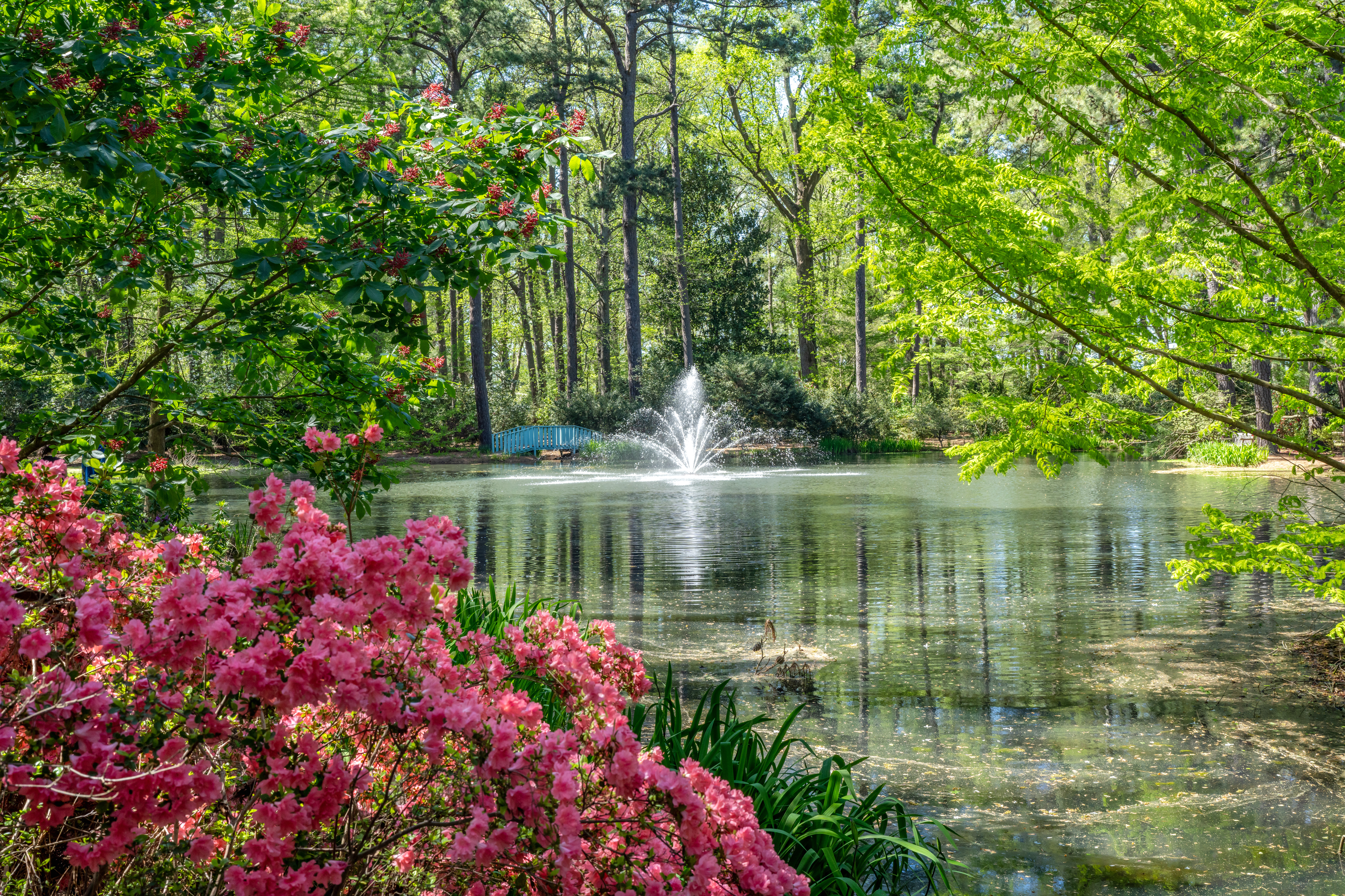 I 10 migliori giardini botanici americani: classifica e il ruolo del Reiman Gardens