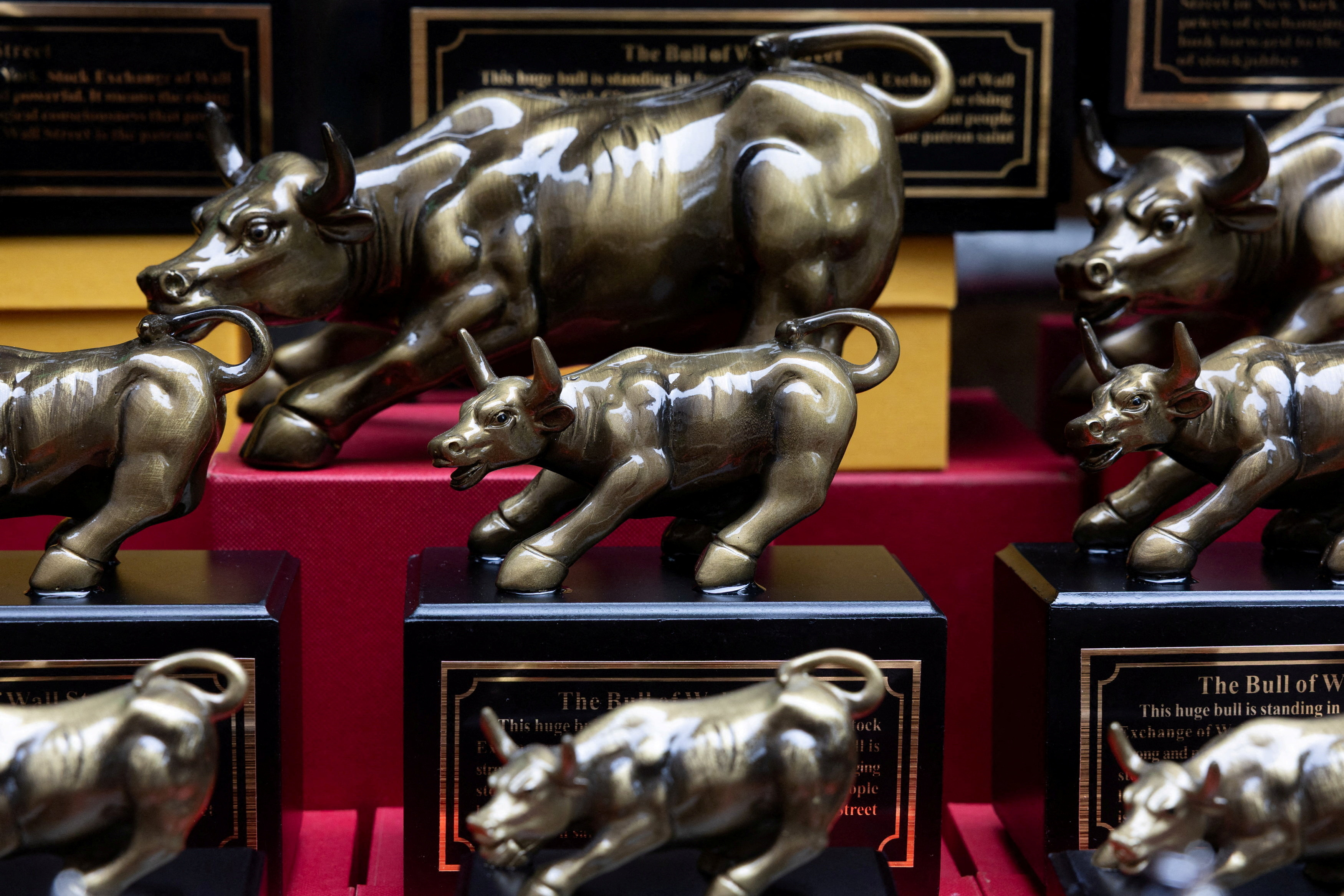 The stock market is still near record highs despite surging bond yields. REUTERS/Jordan Tovin/File Photo