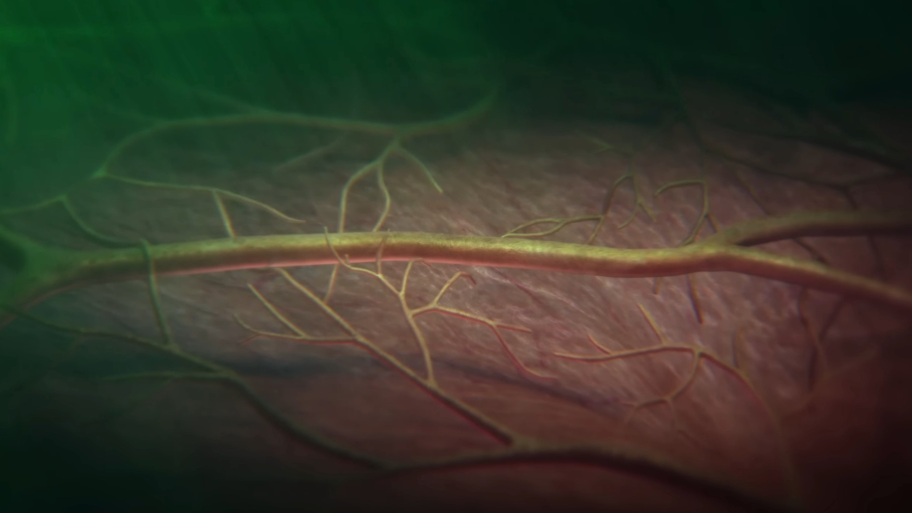 獨家專訪 Apple Watch 研究團隊：耗時 10 年，我們如何教 AI 聽懂血管的「跳動密碼」？