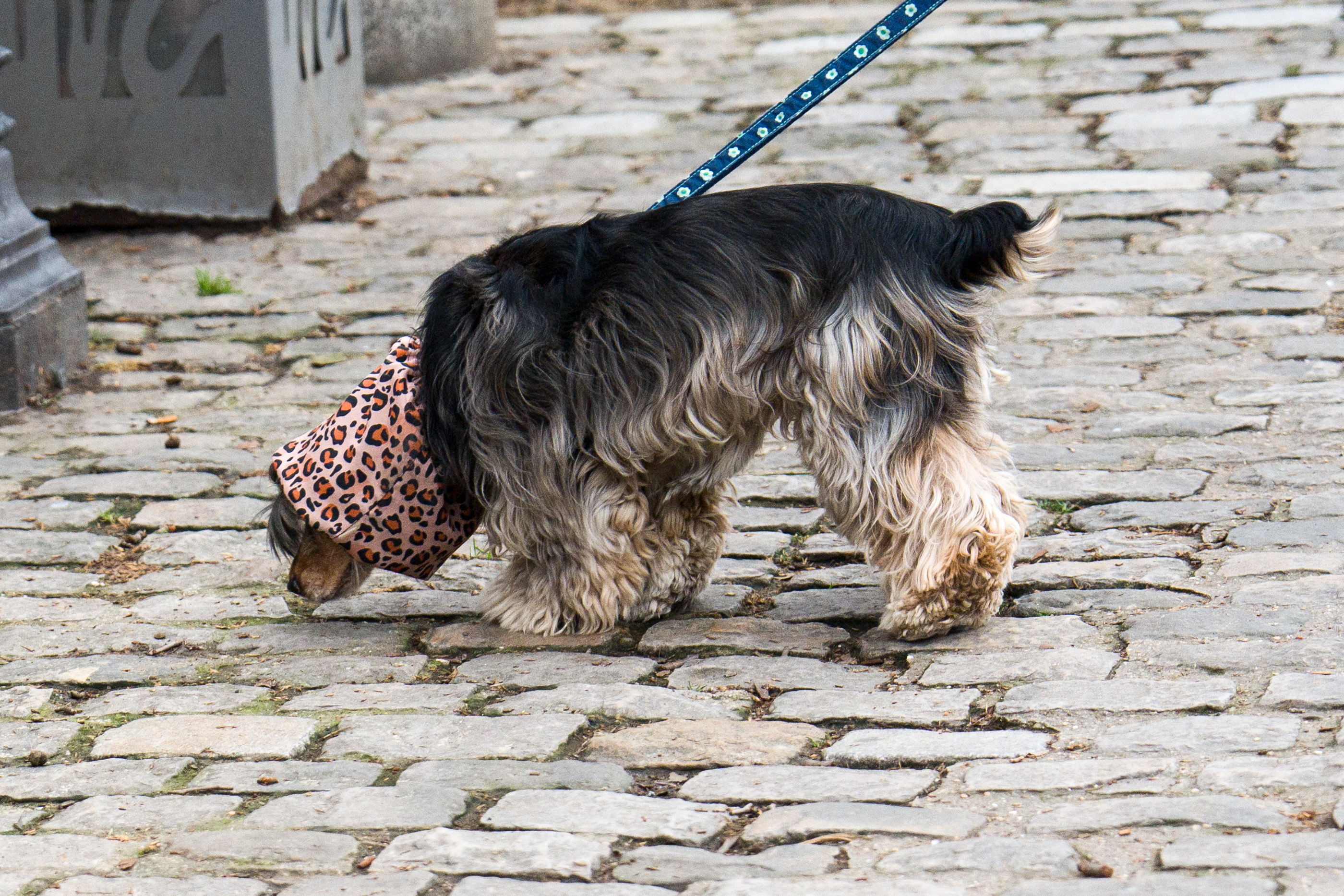 ISO 800, f/2.8, 1/500th