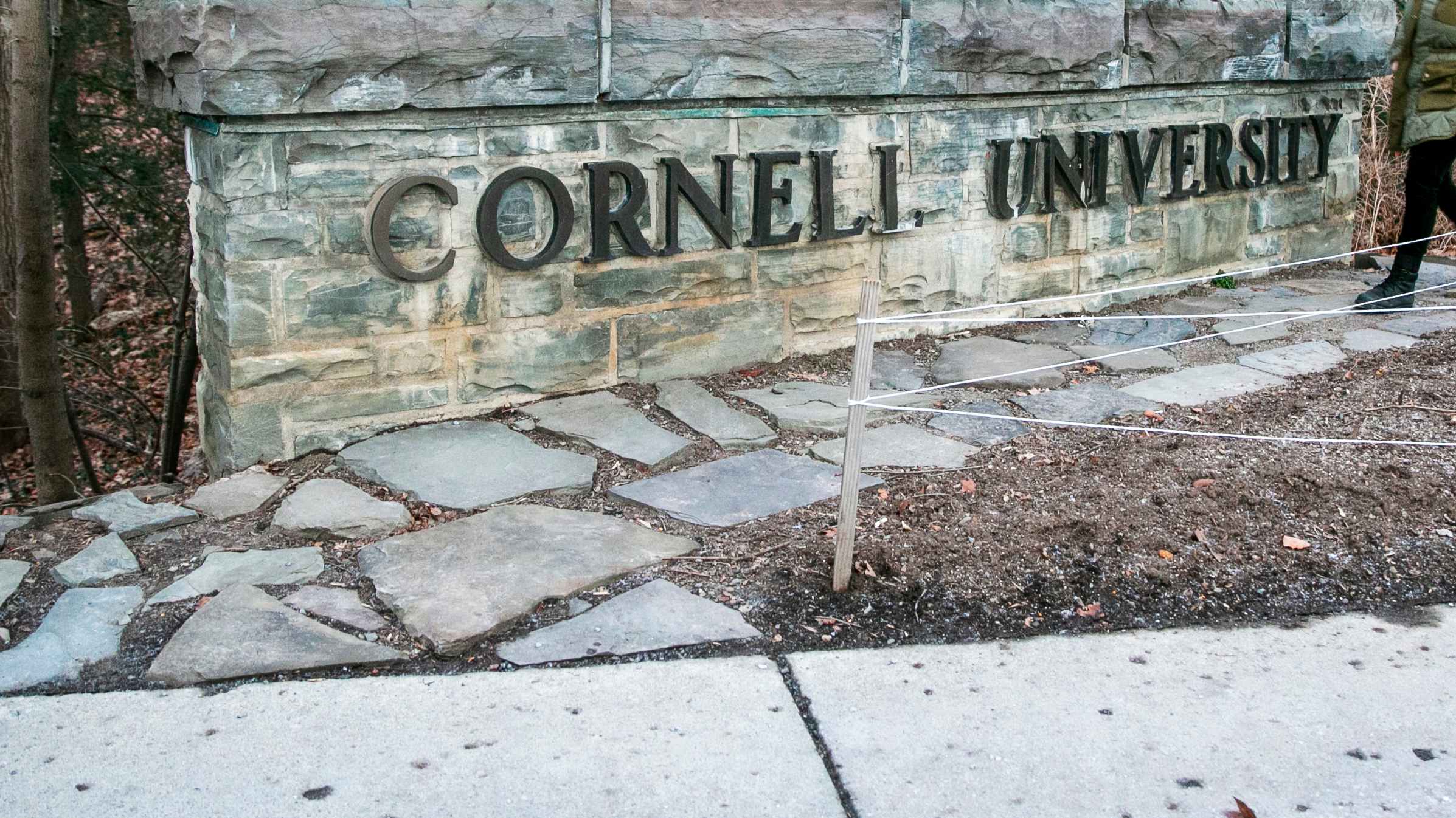 DA defends decision not to prosecute Cornell rape case in 2024