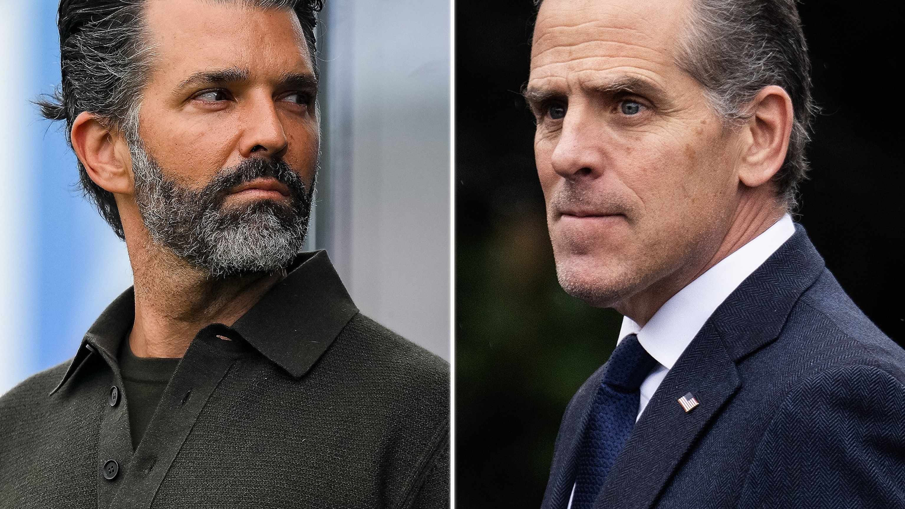GOP senator calls for Judiciary Committee to subpoena Donald Trump Jr. and Hunter Biden