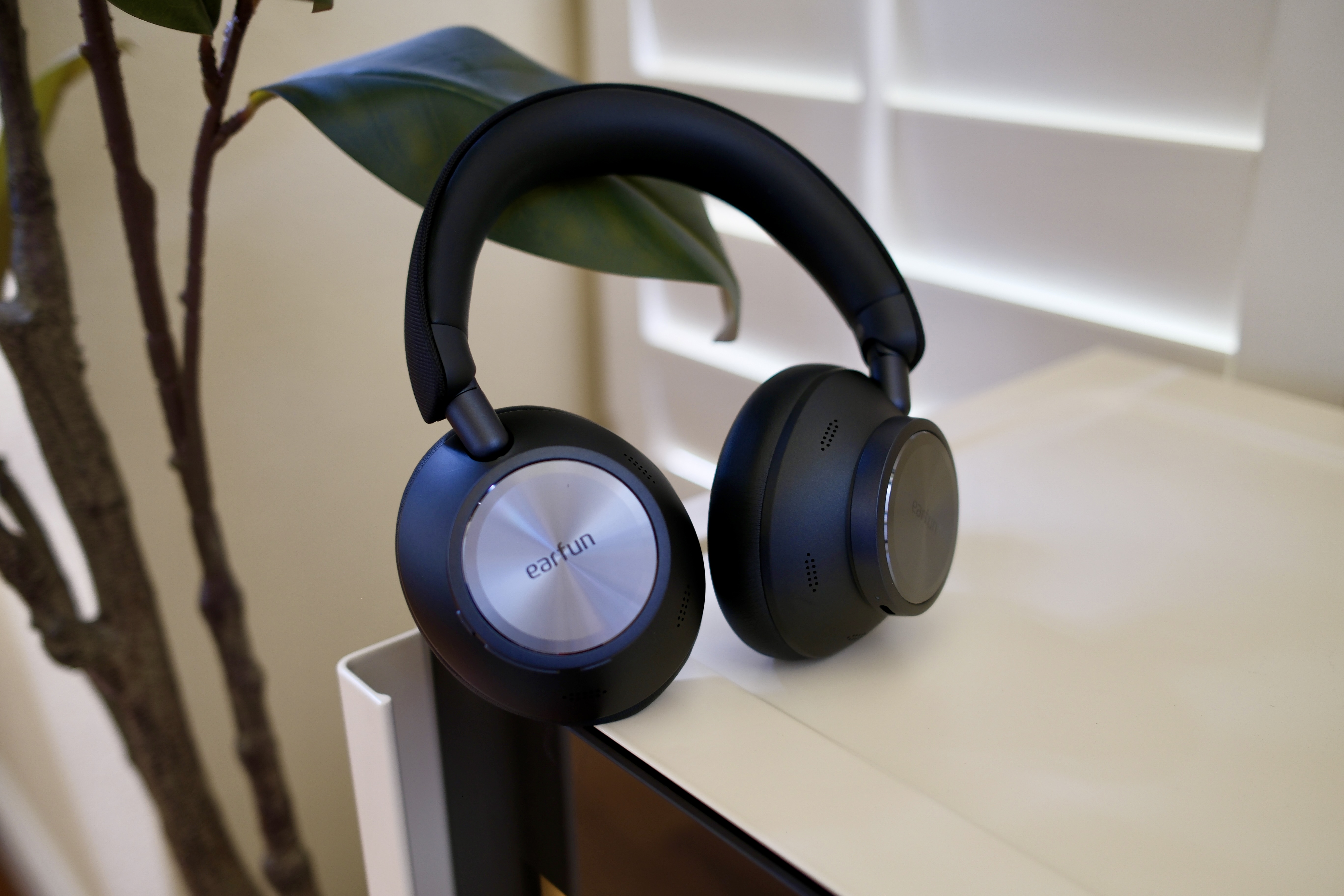 EarFun Wave Pro X leaning against a plant