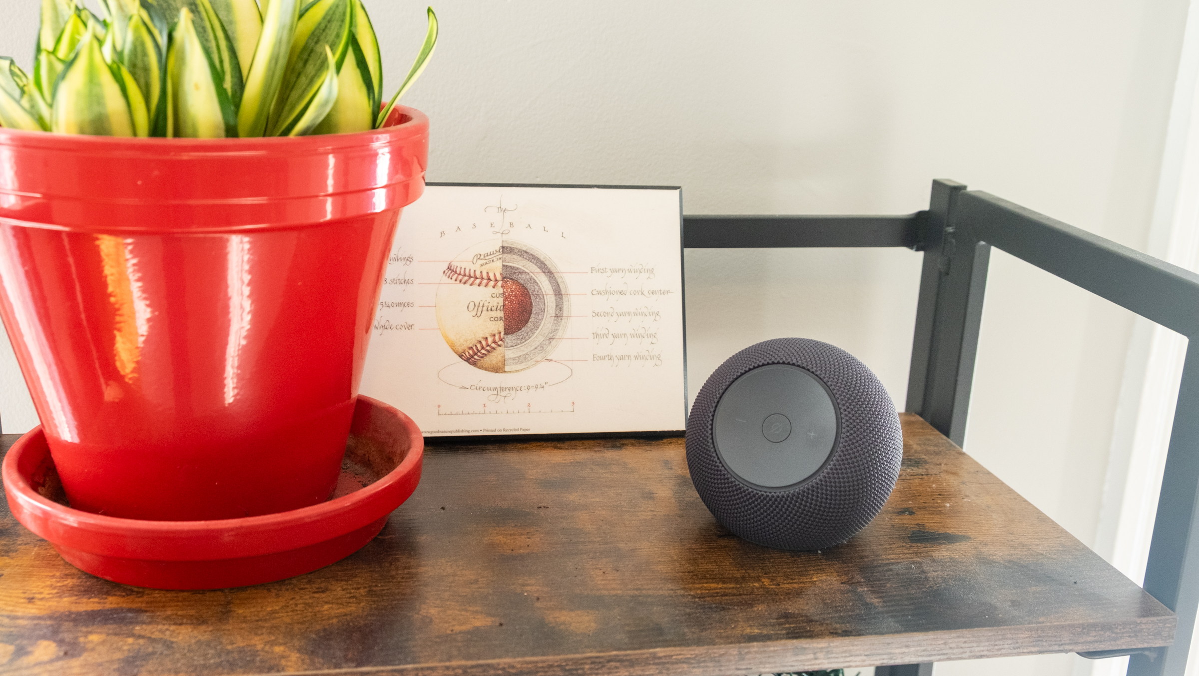 Amazon's Echo Dot Max smart speaker.