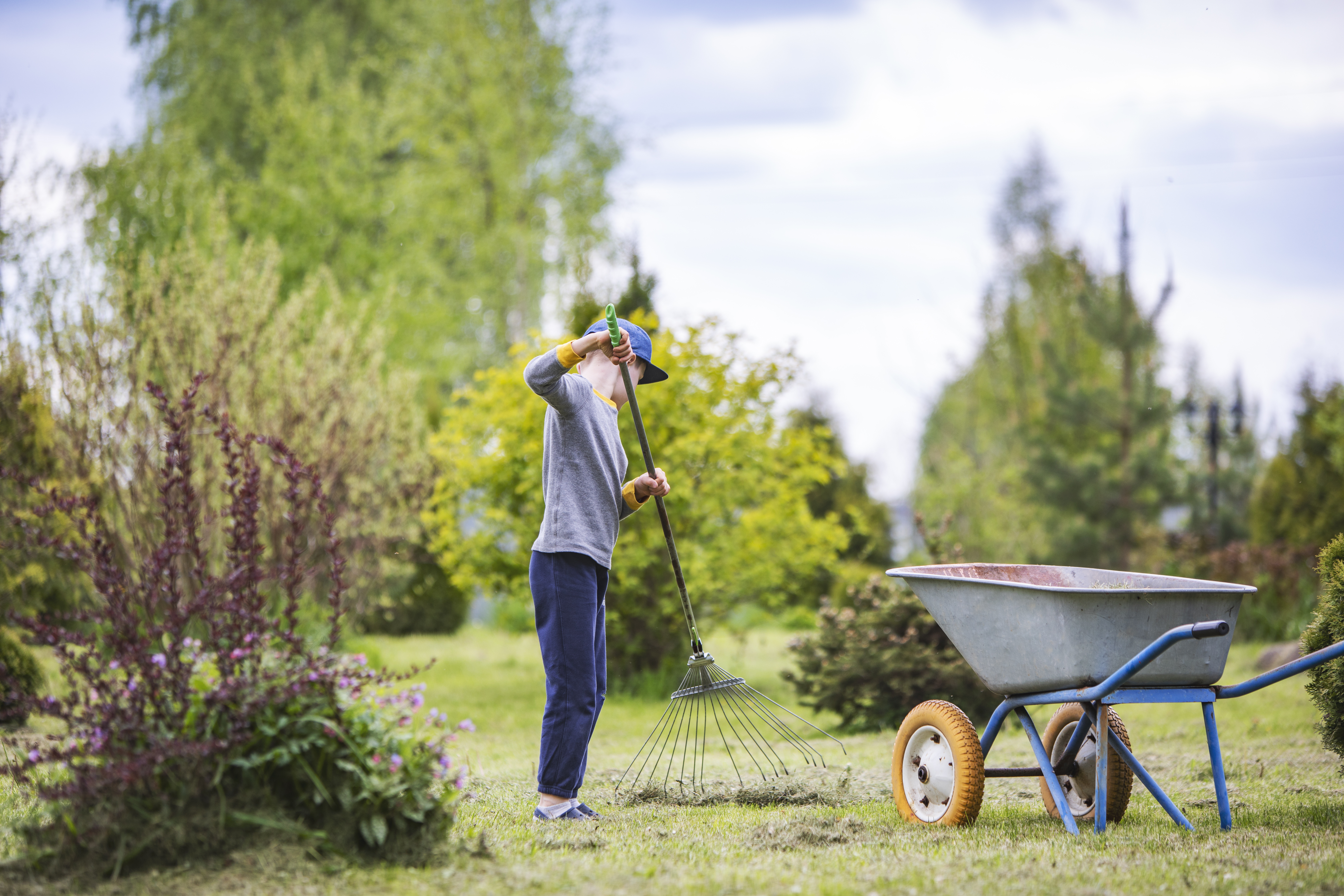 This simple tool makes weeding so easy, my 6-year-old can use it — and today it’s on sale