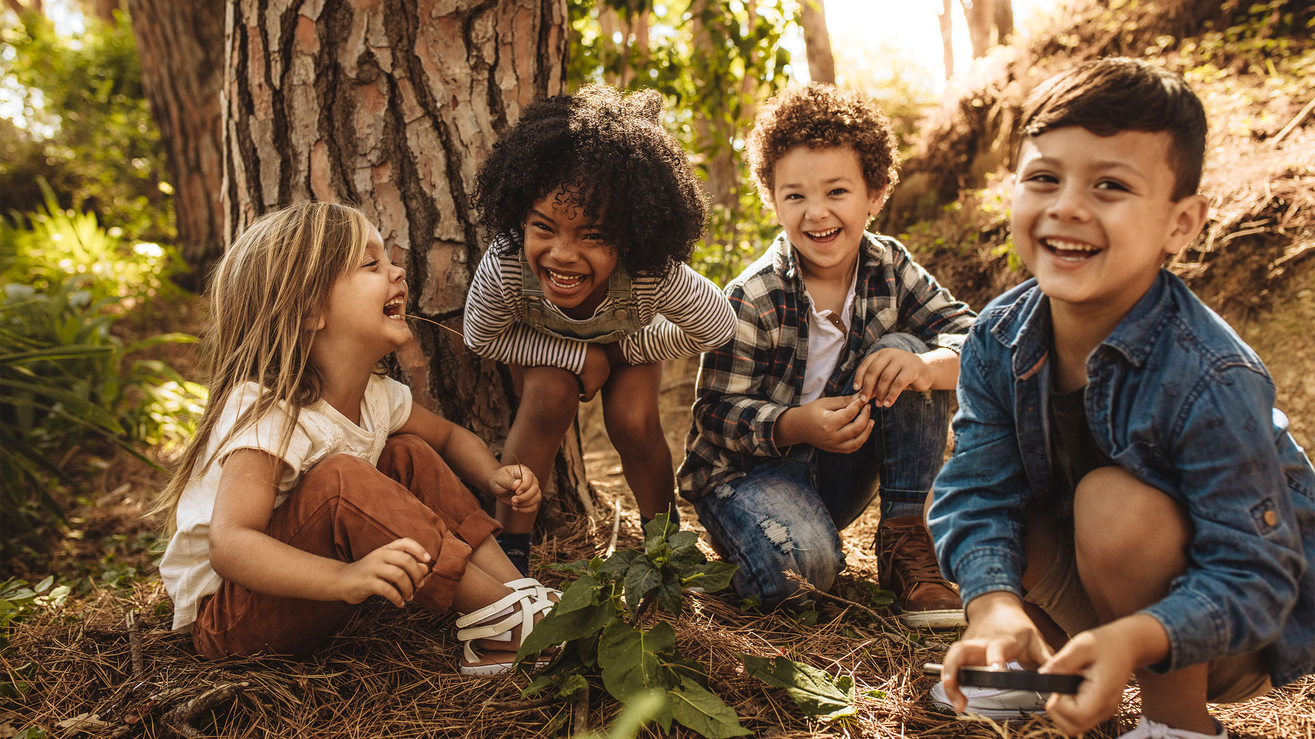 Finland Replaces Artificial Playgrounds with Mud and Soil—Surprising Results Shock Researchers