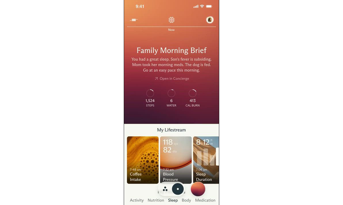 Screenshot from the Luffu app. "Family morning brief" summarizes everyone's health habits.