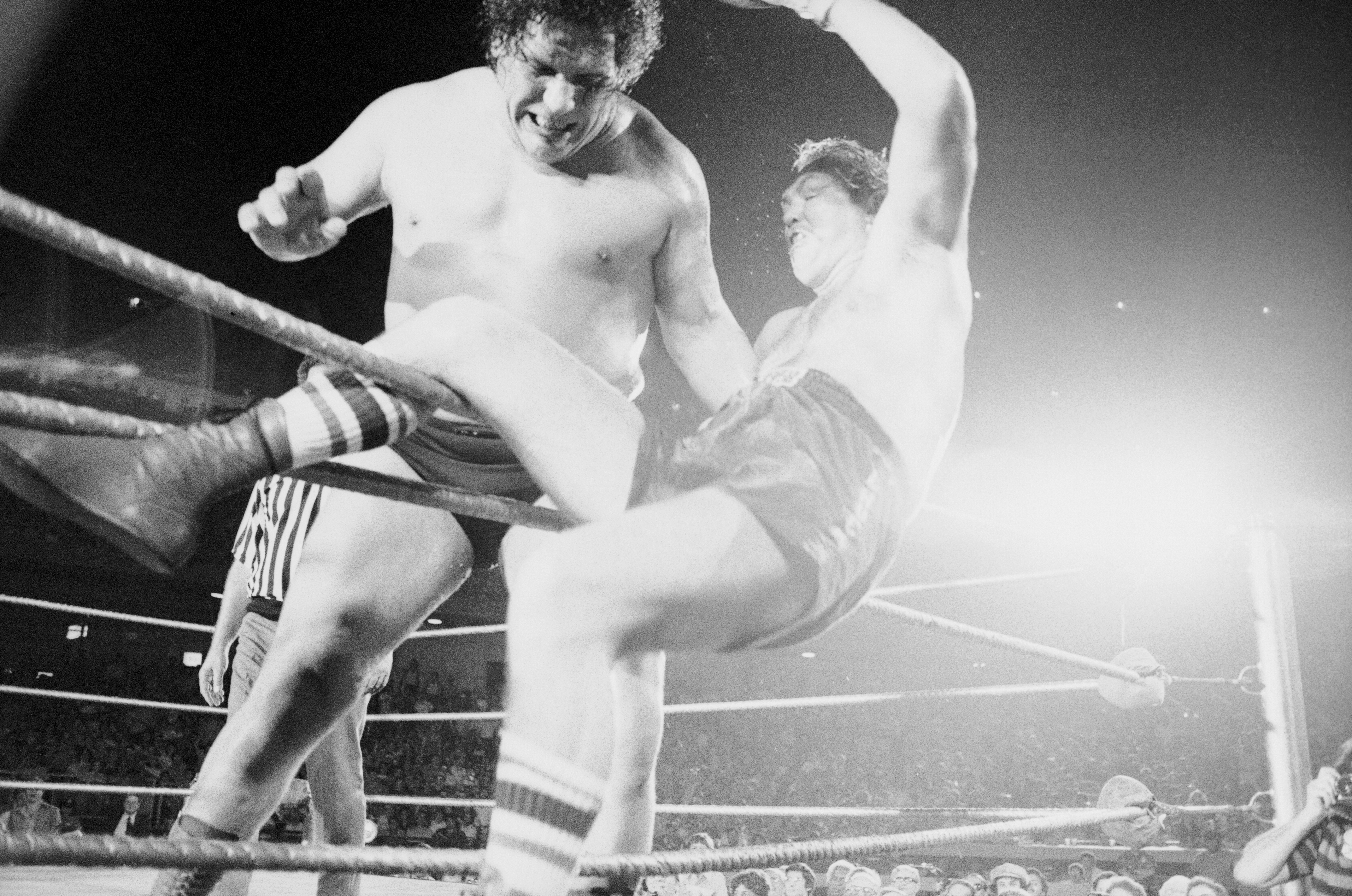 Chuck Wepner is draped on the ropes after Andre the Giant picked him up and tossed him in their forgotten match at Shea Stadium. (Bettmann Archive via Getty Images)